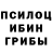 Псилоцибиновые грибы Psilocybine cubensis mister werpn