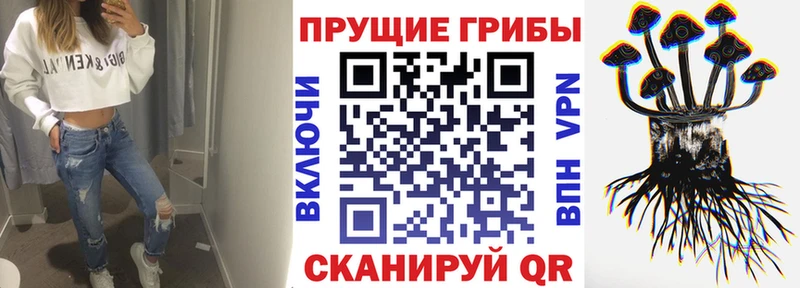 Псилоцибиновые грибы мухоморы  Шагонар 